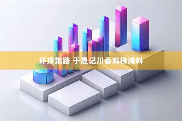 环球策路 于晟记川香鸡柳腌料