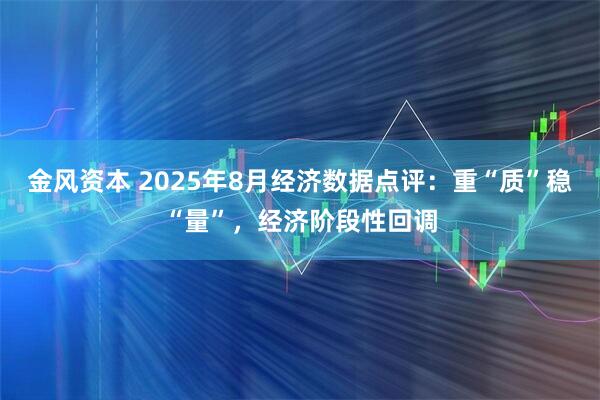金风资本 2025年8月经济数据点评：重“质”稳“量”，经济阶段性回调