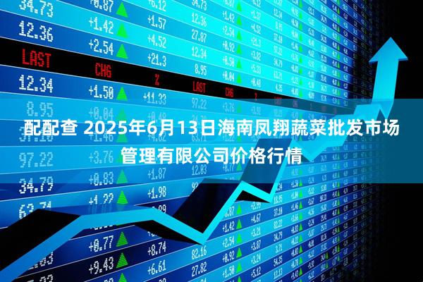 配配查 2025年6月13日海南凤翔蔬菜批发市场管理有限公司价格行情
